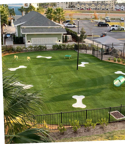 K9 Park-Synthetic Grass Turf-Shawgrass-KNB Mills