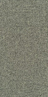 Layered Duality Collection-Carpet Tile-Tarkett-Grounded Harmony- Coexist-KNB Mills