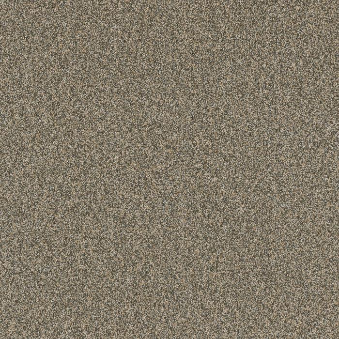 Luxury Suite-Broadloom Carpet-Earthwerks-Luxury Suite Brushed Cotton-KNB Mills