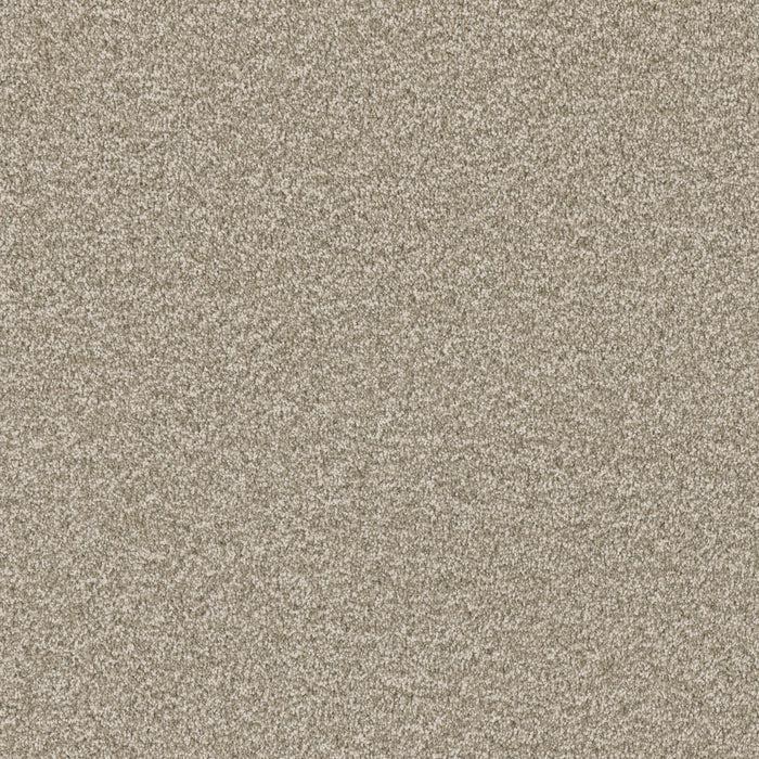 Luxury Suite-Broadloom Carpet-Earthwerks-Luxury Suite Brushed Cotton-KNB Mills