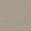 Luxury Suite-Broadloom Carpet-Earthwerks-Luxury Suite Brushed Cotton-KNB Mills