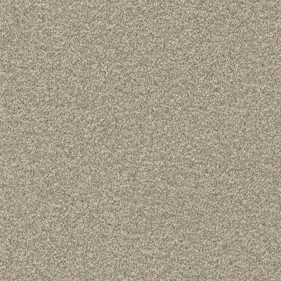 Luxury Suite-Broadloom Carpet-Earthwerks-Luxury Suite Brushed Cotton-KNB Mills