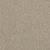 Luxury Suite-Broadloom Carpet-Earthwerks-Luxury Suite Grande Chia-KNB Mills