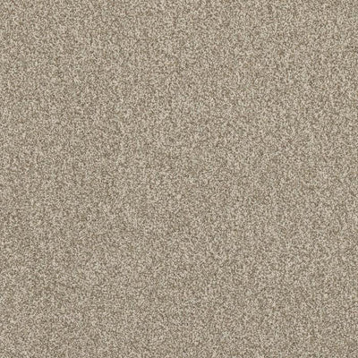 Luxury Suite-Broadloom Carpet-Earthwerks-Luxury Suite Grande Chia-KNB Mills