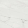 Maximus 12x12-Tile Stone-Shaw Floors-Carrara 00150-KNB Mills