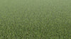Meraki Craze-Synthetic Grass Turf-Shawgrass-KNB Mills