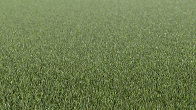 Meraki Craze-Synthetic Grass Turf-Shawgrass-KNB Mills