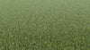 Meraki Mania-Synthetic Grass Turf-Shawgrass-KNB Mills