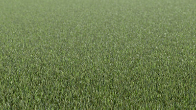 Meraki Mania-Synthetic Grass Turf-Shawgrass-KNB Mills