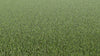 Meraki Zeal-Synthetic Grass Turf-Shawgrass-KNB Mills