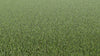 Meraki Zeal-Synthetic Grass Turf-Shawgrass-KNB Mills