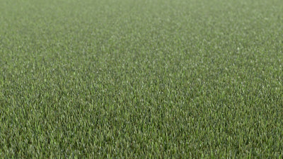 Meraki Zeal-Synthetic Grass Turf-Shawgrass-KNB Mills