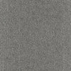 Mesmerizing-Broadloom Carpet-Marquis Industries-BB006 Stormy Ridge-KNB Mills