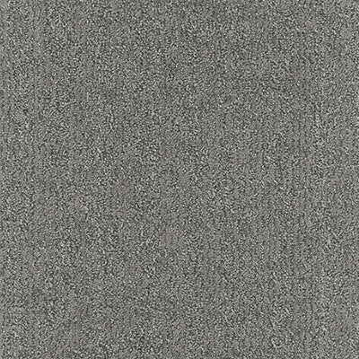 Mesmerizing-Broadloom Carpet-Marquis Industries-BB006 Stormy Ridge-KNB Mills