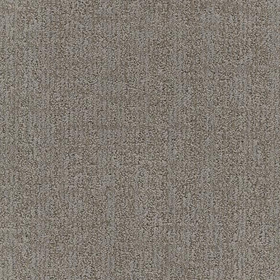 Mesmerizing-Broadloom Carpet-Marquis Industries-BB005 Gray Whisper-KNB Mills