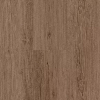 Umbria Oak