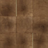 Natural Choreography-Luxury Vinyl Tile-Shaw Contract-Cut- Talc-KNB Mills