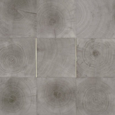 Natural Choreography-Luxury Vinyl Tile-Shaw Contract-Cut- Mushroom-KNB Mills