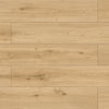 NorthShore XL Laminate-Laminate-Naturally Aged Flooring-NSXLPalm Branch-KNB Mills