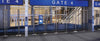 OBEX Grid Entrance Flooring-Entrance Flooring-Milliken-FZX15-96 Gold-KNB Mills