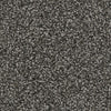 Paradise City-Broadloom Carpet-Marquis Industries-BB008 Grand Teton-KNB Mills
