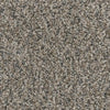 Paradise City-Broadloom Carpet-Marquis Industries-BB009 Balanced Beige-KNB Mills