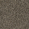 Paradise City-Broadloom Carpet-Marquis Industries-BB004 Swiss Mocha-KNB Mills