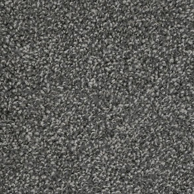 Paradise City-Broadloom Carpet-Marquis Industries-BB005 Cast Iron-KNB Mills