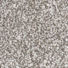 Peace Of Mind-Broadloom Carpet-Marquis Industries-BB011 Paver Stone-KNB Mills