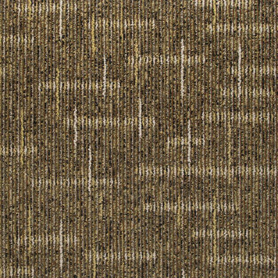 Perspective Carpet Tile-Carpet Tile-Kraus-Contrast-KNB Mills