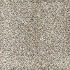 Phenomenal-Broadloom Carpet-Marquis Industries-BB001 Dovetail-KNB Mills