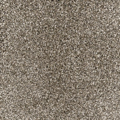 Phenomenal-Broadloom Carpet-Marquis Industries-BB004 Virtual Taupe-KNB Mills