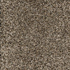 Phenomenal-Broadloom Carpet-Marquis Industries-BB006 Saddle Brown-KNB Mills