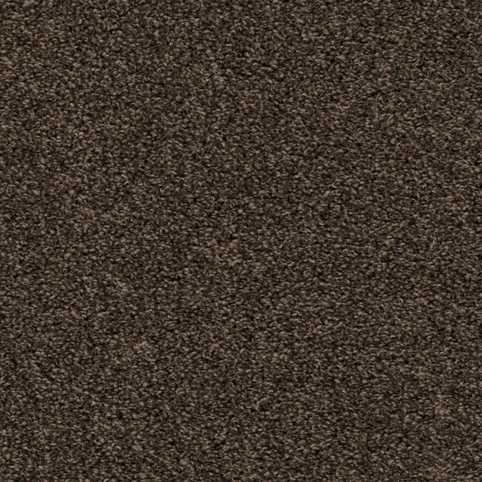 Shazam-Broadloom Carpet-Earthwerks-Shazam Anchor-KNB Mills