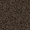Shazam-Broadloom Carpet-Earthwerks-Shazam Espresso-KNB Mills