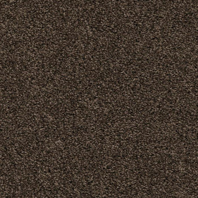 Shazam-Broadloom Carpet-Earthwerks-Shazam Espresso-KNB Mills