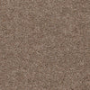 Shazam-Broadloom Carpet-Earthwerks-Shazam Lattice-KNB Mills