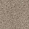 Shazam-Broadloom Carpet-Earthwerks-Shazam Linen-KNB Mills