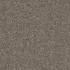 Shazam-Broadloom Carpet-Earthwerks-Shazam Mink-KNB Mills