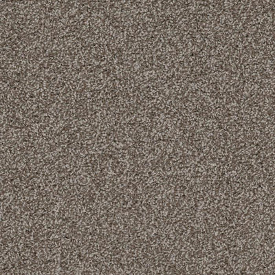 Shazam-Broadloom Carpet-Earthwerks-Shazam Mink-KNB Mills