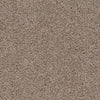 Shazam-Broadloom Carpet-Earthwerks-Shazam Sandpaper-KNB Mills