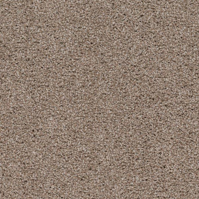 Shazam-Broadloom Carpet-Earthwerks-Shazam Sandpaper-KNB Mills