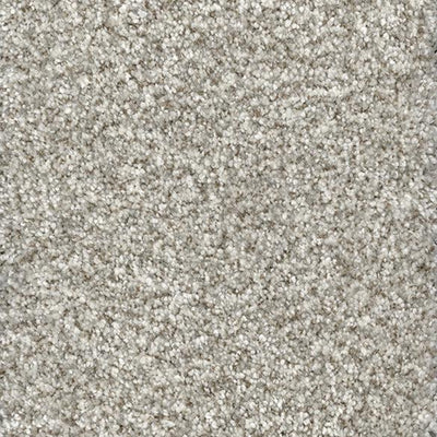 Simply Awesome-Broadloom Carpet-Marquis Industries-BB022 Dove Feather-KNB Mills