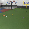 Soft Landing-Synthetic Grass Turf-GrassTex-G-Forest/Olive-Silverback- Perforated-1 ⅛"-KNB Mills