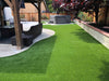 All Sports Turf 5M-GrassTex-KNB Mills