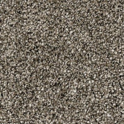 Soho-Broadloom Carpet-Marquis Industries-BB008 English Toffee-KNB Mills