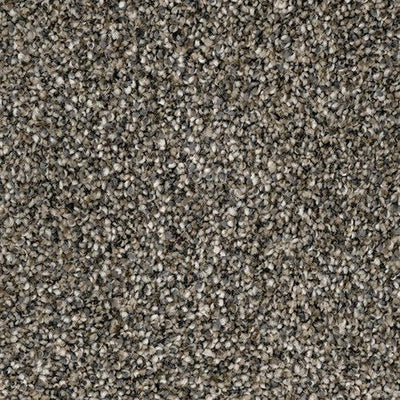 Soho-Broadloom Carpet-Marquis Industries-BB001 Brushed Cotton-KNB Mills