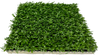 Spring Season 5mm Cushion-Synthetic Grass Turf-Shawgrass-Shaw-300-Urethane-0.75-KNB Mills