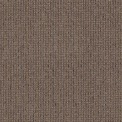 Stay-Broadloom Carpet-Shaw Contract-Warmth-KNB Mills