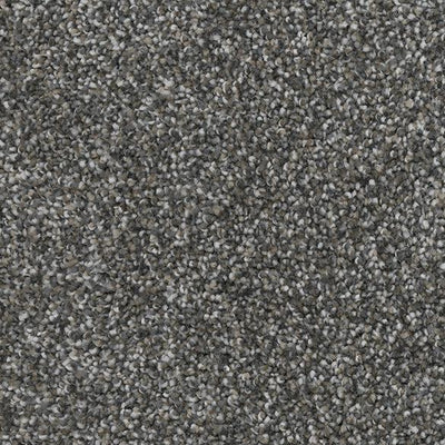 Sweet Emotion-Broadloom Carpet-Marquis Industries-BB005 Graphite Grey-KNB Mills